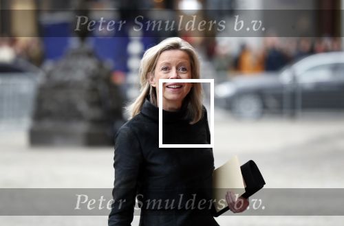Amsterdam 15 januari 2019
Niieuwjaarsreceptie Koning Willem Alexander en koningin Maxima in paleis op de dam. Kajsa Ollongren