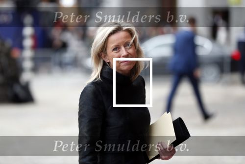 Amsterdam 15 januari 2019
Niieuwjaarsreceptie Koning Willem Alexander en koningin Maxima in paleis op de dam. Kajsa Ollongren