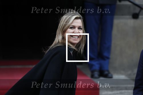 Amsterdam 15 januari 2019
Niieuwjaarsreceptie Koning Willem Alexander en koningin Maxima in paleis op de dam. Audi van Alexander