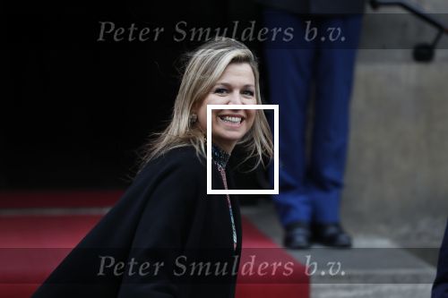 Amsterdam 15 januari 2019
Niieuwjaarsreceptie Koning Willem Alexander en koningin Maxima in paleis op de dam. Audi van Alexander