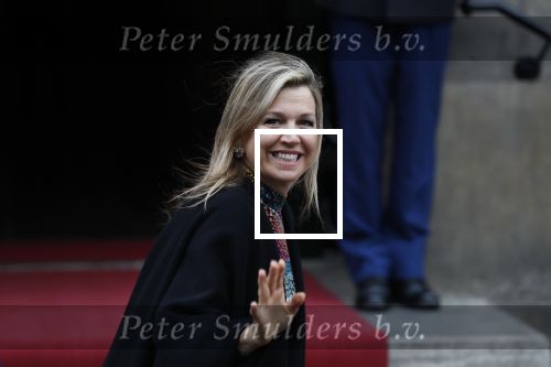 Amsterdam 15 januari 2019
Niieuwjaarsreceptie Koning Willem Alexander en koningin Maxima in paleis op de dam. Audi van Alexander