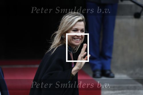 Amsterdam 15 januari 2019
Niieuwjaarsreceptie Koning Willem Alexander en koningin Maxima in paleis op de dam. Audi van Alexander