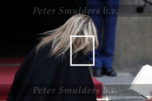 Amsterdam 15 januari 2019
Niieuwjaarsreceptie Koning Willem Alexander en koningin Maxima in paleis op de dam. Audi van Alexander