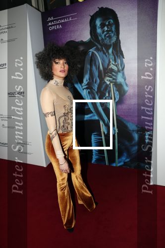 Amsterdam 18 januari 2019
Premiere Nationaal ballet in de stopera. Kriss Berry