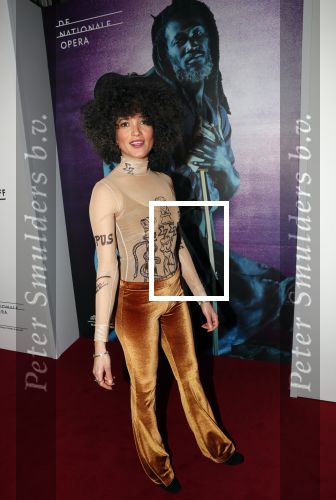 Amsterdam 18 januari 2019
Premiere Nationaal ballet in de stopera. Kriss Berry