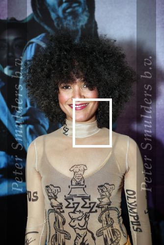 Amsterdam 18 januari 2019
Premiere Nationaal ballet in de stopera. Kriss Berry