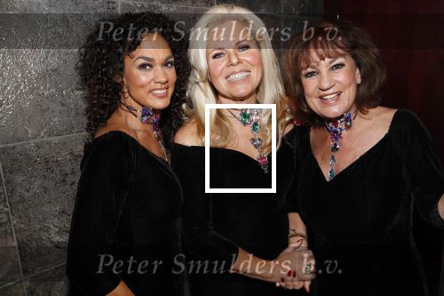 Apeldoorn 13 januari 2019
Het eerste optreden van de nieuwe LUV met Marga Scheide Jose Hoebee en Chimene v Oosterhout.