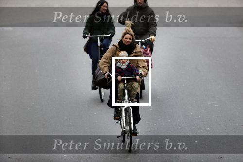 Amsterdam 30 januari 2019
Lieke v Lexmond met zoontje op de fiets in het vondelpark.