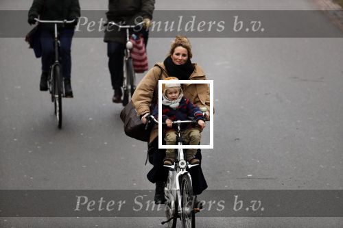 Amsterdam 30 januari 2019
Lieke v Lexmond met zoontje op de fiets in het vondelpark.