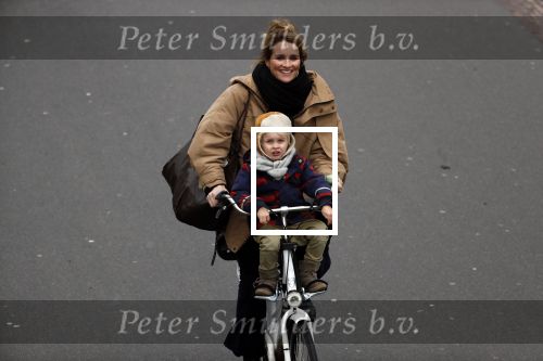 Amsterdam 30 januari 2019
Lieke v Lexmond met zoontje op de fiets in het vondelpark.