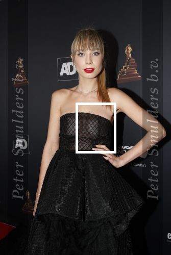 Amsterdam 23 januari 2019
Rode loper musical awards in de RAI. Loiza lamers