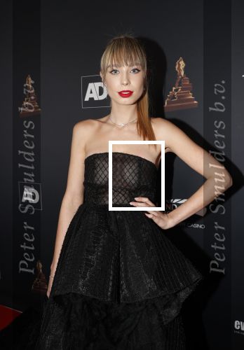 Amsterdam 23 januari 2019
Rode loper musical awards in de RAI. Loiza lamers
