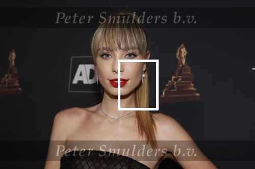 Amsterdam 23 januari 2019
Rode loper musical awards in de RAI. Loiza lamers