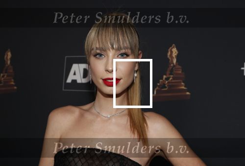 Amsterdam 23 januari 2019
Rode loper musical awards in de RAI. Loiza lamers