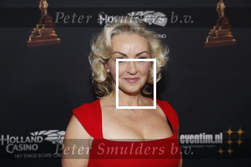 Amsterdam 23 januari 2019
Rode loper musical awards in de RAI. Lone v Roosendaal