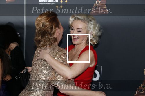Amsterdam 23 januari 2019
Rode loper musical awards in de RAI. Lone v Roosendaal