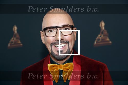 Amsterdam 23 januari 2019
Rode loper musical awards in de RAI. maik de Boer