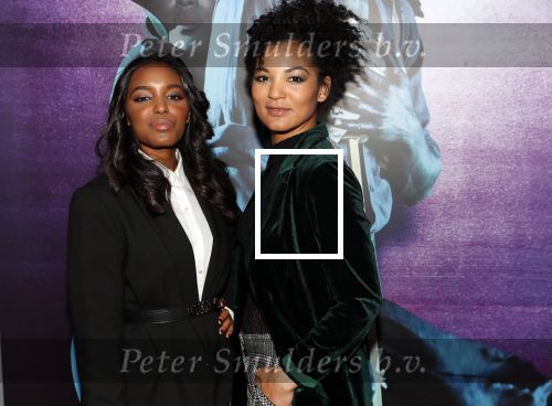 Amsterdam 18 januari 2019
Premiere Nationaal ballet in de stopera. Malaika Elvers en Doniele David