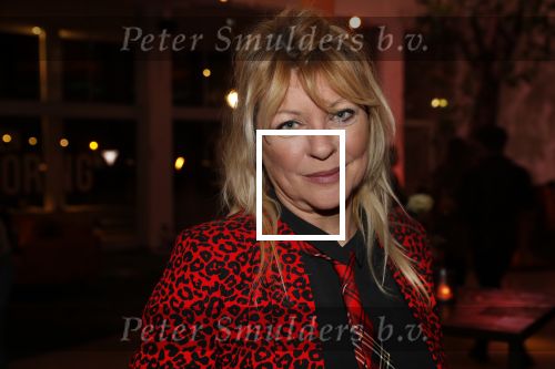 Hilversum 31 januari 2019
Uitreiking van de gouden radioring in theater Gooiland. manuela Kemp