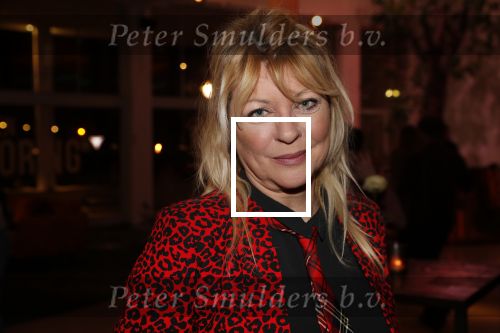 Hilversum 31 januari 2019
Uitreiking van de gouden radioring in theater Gooiland. manuela Kemp