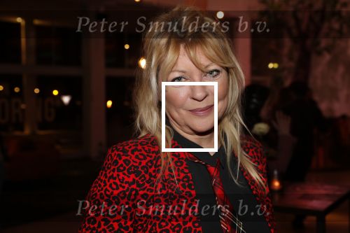 Hilversum 31 januari 2019
Uitreiking van de gouden radioring in theater Gooiland. manuela Kemp