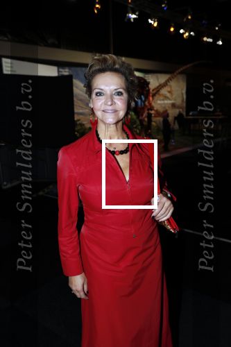 Amsterdam 6 december 2018
Openingsavond VIP van de luxery fair in de RAI. Mariska v Kolck