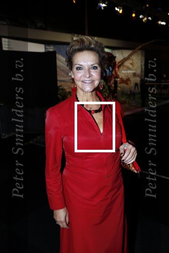 Amsterdam 6 december 2018
Openingsavond VIP van de luxery fair in de RAI. Mariska v Kolck