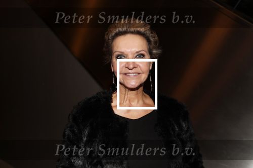 Amsterdam 20 december 2018
Premiere Cats in de RAI. Mariska v Kolck