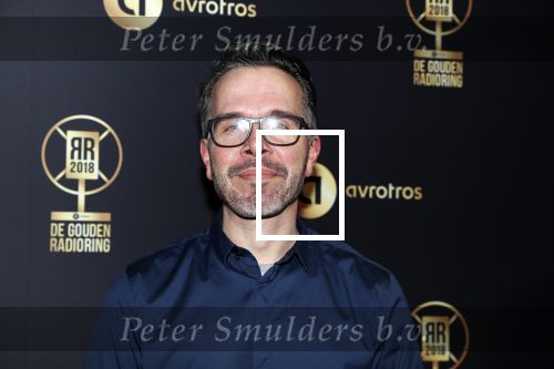 Hilversum 31 januari 2019
Uitreiking van de gouden radioring in theater Gooiland.
Michiel Veenstra