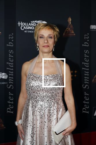 Amsterdam 23 januari 2019
Rode loper musical awards in de RAI. 
Mylene dï¿½Anjou met man
Mylene d Anjou
