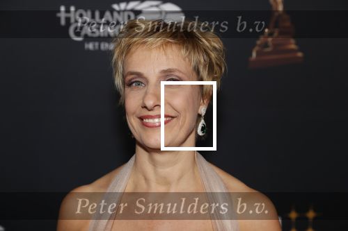 Amsterdam 23 januari 2019
Rode loper musical awards in de RAI. 
Mylene dï¿½Anjou met man
Mylene d Anjou