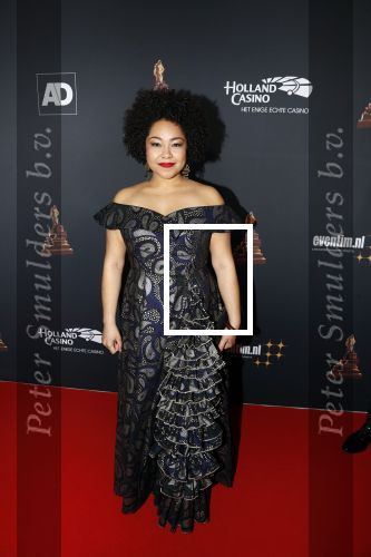 Amsterdam 23 januari 2019
Rode loper musical awards in de RAI. Naomi v d Linden