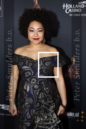 Amsterdam 23 januari 2019
Rode loper musical awards in de RAI. Naomi v d Linden