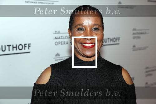 Amsterdam 18 januari 2019
Premiere Nationaal ballet in de stopera. Nelli Cooman met haar dochter Ronell