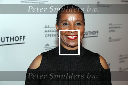 Amsterdam 18 januari 2019
Premiere Nationaal ballet in de stopera. Nelli Cooman met haar dochter Ronell