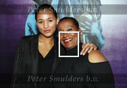 Amsterdam 18 januari 2019
Premiere Nationaal ballet in de stopera. Nelli Cooman met haar dochter Ronell