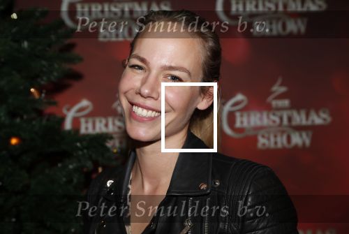 Amsterdam 23 december 2018
Premiere RTL kerstshow in het ziggo dome. Nicolette Kluijver met haar kinderen