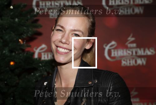 Amsterdam 23 december 2018
Premiere RTL kerstshow in het ziggo dome. Nicolette Kluijver met haar kinderen