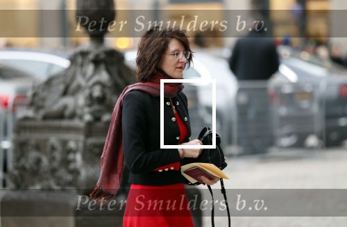 Amsterdam 15 januari 2019
Niieuwjaarsreceptie Koning Willem Alexander en koningin Maxima in paleis op de dam.