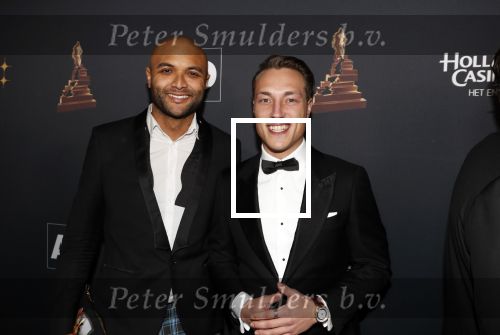 Amsterdam 23 januari 2019
Rode loper musical awards in de RAI. Noah Zeeuw met â€¦