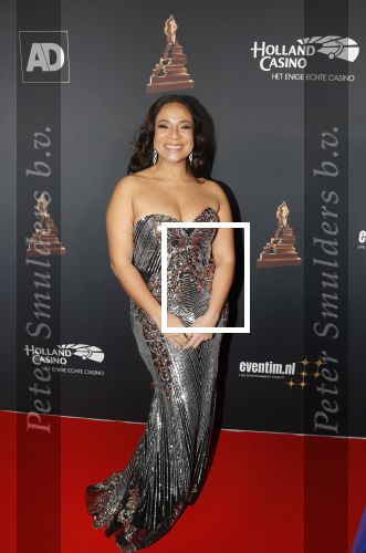 Amsterdam 23 januari 2019
Rode loper musical awards in de RAI. Nurlaila Kareem