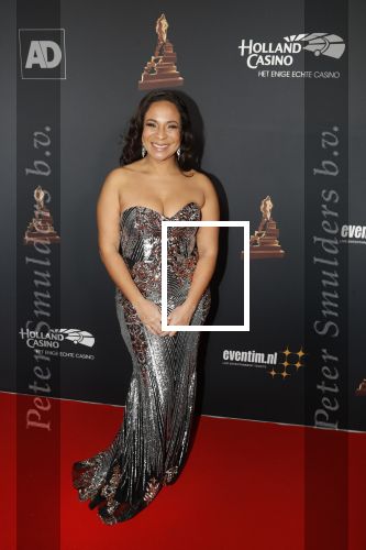 Amsterdam 23 januari 2019
Rode loper musical awards in de RAI. Nurlaila Kareem