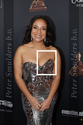 Amsterdam 23 januari 2019
Rode loper musical awards in de RAI. Nurlaila Kareem