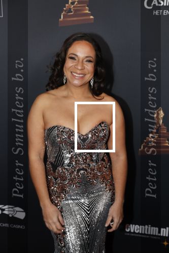 Amsterdam 23 januari 2019
Rode loper musical awards in de RAI. Nurlaila Kareem