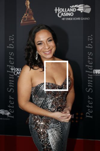 Amsterdam 23 januari 2019
Rode loper musical awards in de RAI. Nurlaila Kareem