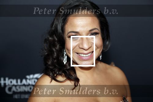 Amsterdam 23 januari 2019
Rode loper musical awards in de RAI. Nurlaila Kareem