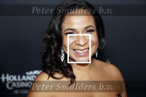 Amsterdam 23 januari 2019
Rode loper musical awards in de RAI. Nurlaila Kareem