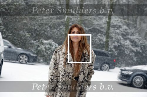 Baarn 22 januari 2019
Olcay Gulsen in de sneeuw