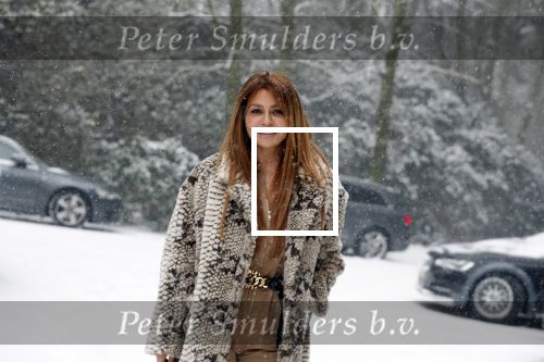Baarn 22 januari 2019
Olcay Gulsen in de sneeuw