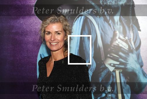 Amsterdam 18 januari 2019
Premiere Nationaal ballet in de stopera. Patrcia Snel